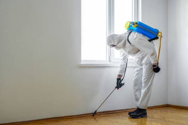 Best Rodent Control Near Me  in Moonachie, NJ