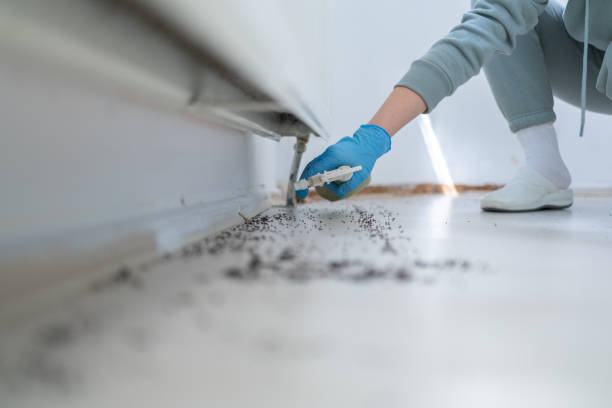 Best Mosquito Control Services  in Moonachie, NJ